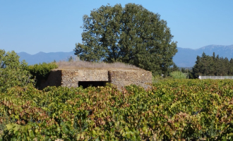 Memòria històrica i tast de vins i olis a Garriguella