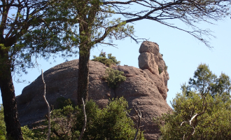 Balma Blava, Sescorts i Bofí