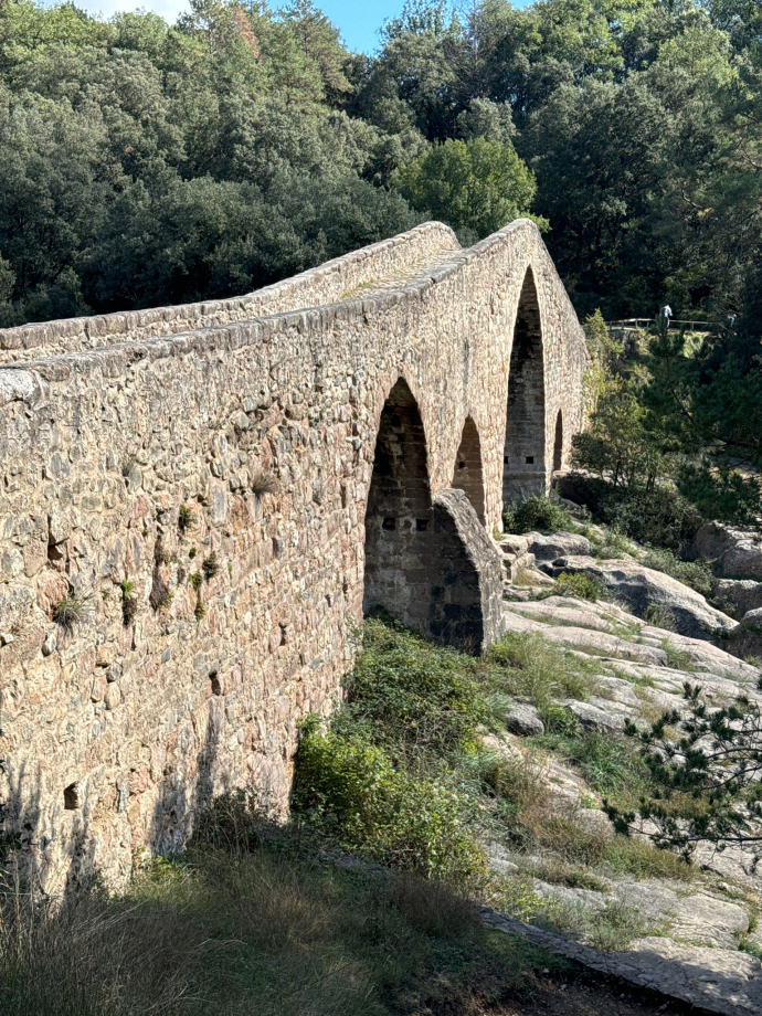 Patrimoni històric i industrial, entre boscos i conreus, al voltant d’un tram del riu Llobregat.