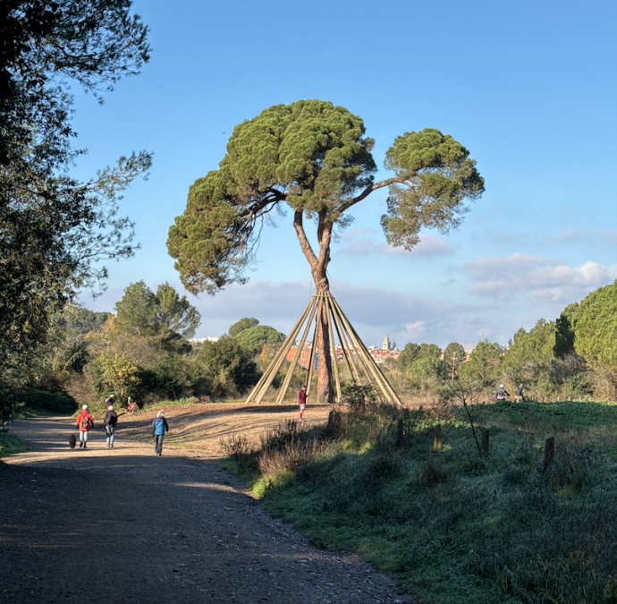 St. Medir i Pi del Xandri des de Sta. Maria de Montcada