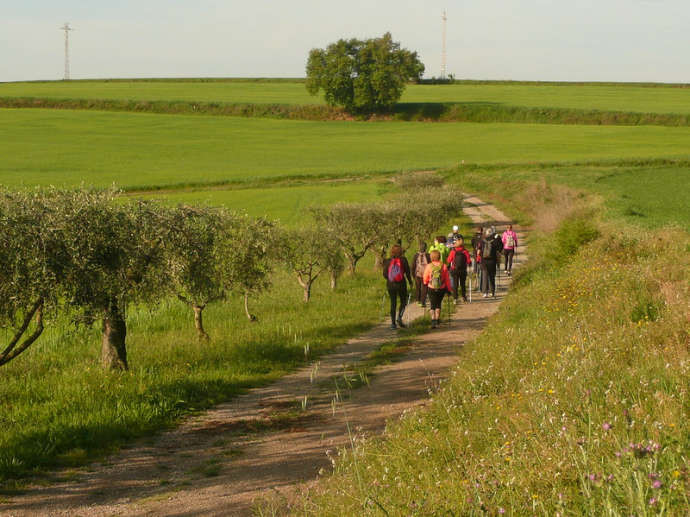 Curset d'iniciació a la marxa nòrdica · octubre 2024